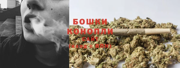 индика Переславль-Залесский