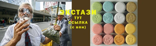 индика Пересвет
