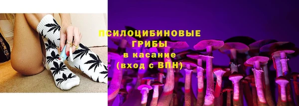 СК Осинники