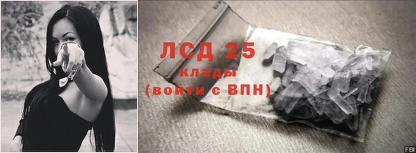 СК Осинники