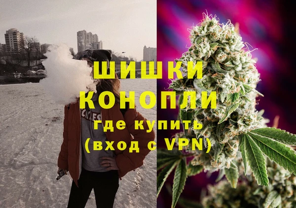 индика Переславль-Залесский