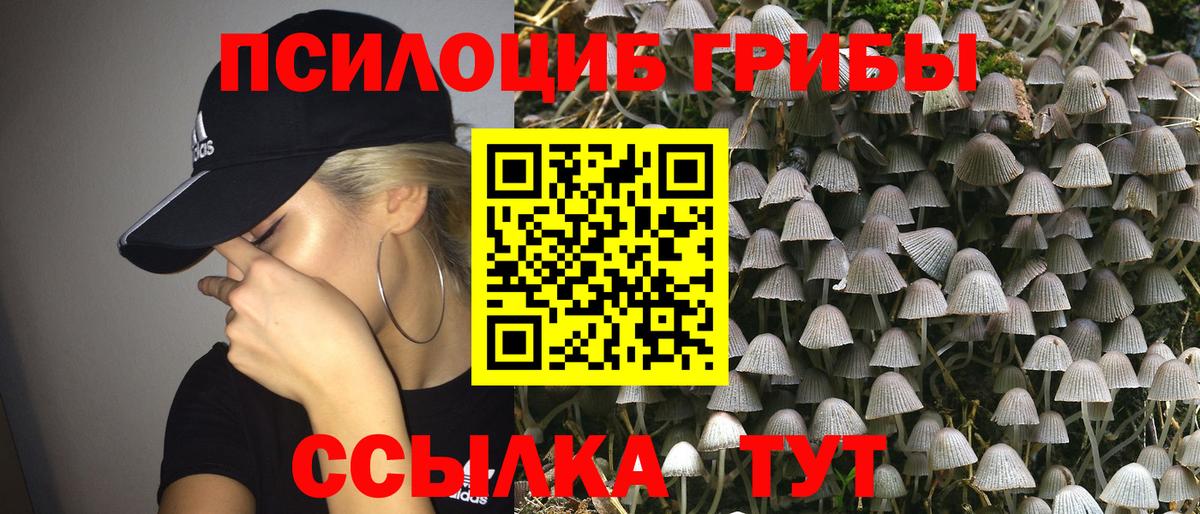 Меф мяу мяу Удомля