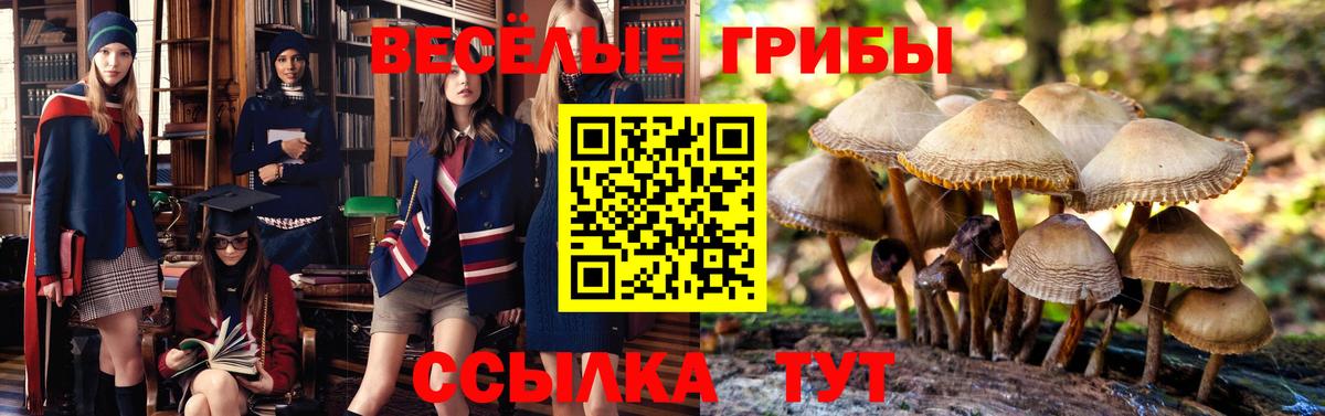 купить наркоту  Галлюциногенные грибы Psilocybine cubensis  Псилоцибиновые грибы Magic Shrooms  Вход с VPN  Удомля 